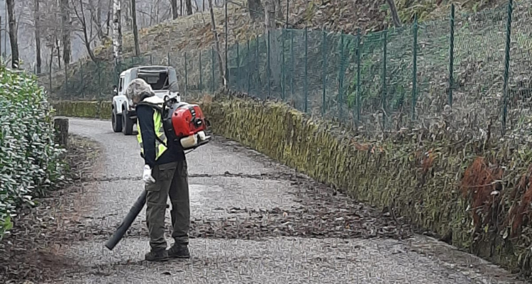 Consulte di Frazione montane