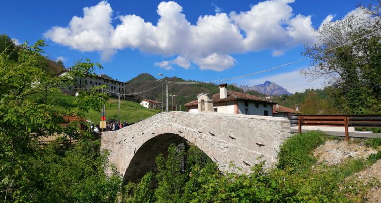 Ponte capre
